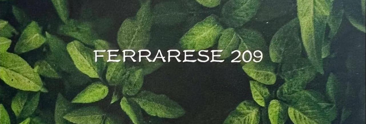 Apartament Ferrarese209 Bolonia Zewnętrze zdjęcie